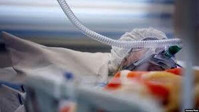  زن جوان بر اثر عفونت پی از عمل زیبایی جان باخت