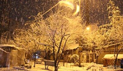 آغاز بارش برف در شهرکرد+فیلم