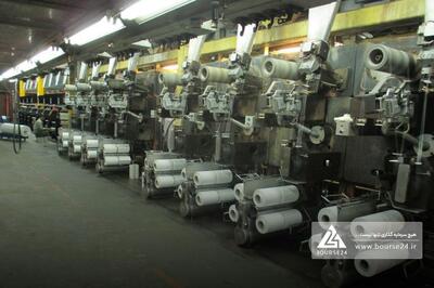 گزارش عملکرد یک ساله فروش «شپلی» تا پایان آذر ۱۴۰۴