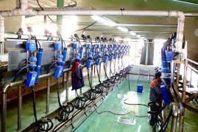 آیا از عملکرد فروش «زهلال» در آذر ماه خبر دارید؟