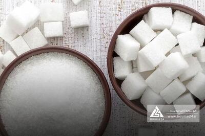 «قلرست» از فروش خود گزارش داد