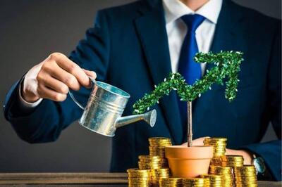 نگاهی به آخرین وضعیت پرتفوی «وهامو»