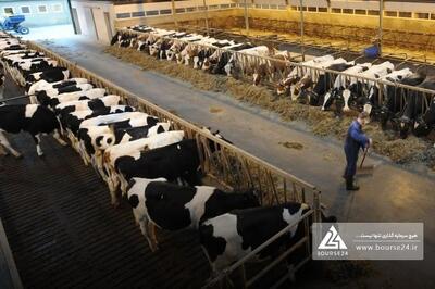 «زکشت» در 9 ماهه چه کرد؟