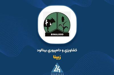 رشد ۸۴ درصدی فروش «زبینا» در ۹ ماهه