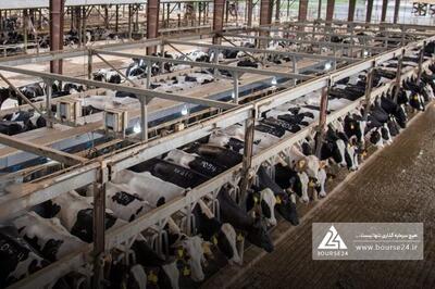 روند فروش «زقیام» در نه ماهه بررسی شد