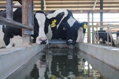 رشد ۶۴ درصدی درآمد «زگلدشت» در ۹ ماهه؛ ثبت رکورد جدید در فروش ماهان