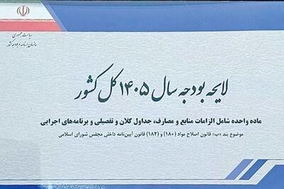  یوسفی: احتمالاً رأی‌گیری کلیات بودجه 1405 به سه‌شنبه موکول می‌شود