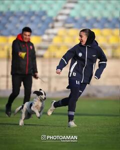 یک سگ بازی پرسپولیس – گل‌گهر را بهم ریخت+عکس