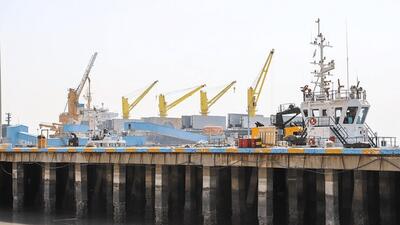 ورود دستگاه قضایی برای تأمین نهاده‌های دامی/ ترخیص ۱۶ هزار تن کنجاله سویا از بندر امام