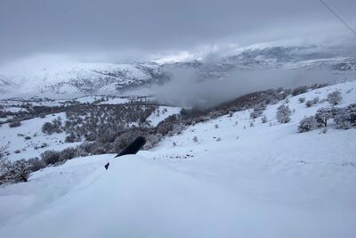 آب‌رسانی اضطراری به شهر بانه؛ الگویی از هم‌گام‌سازی منفعت و مصلحت