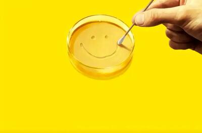 نقد فصل اول سریال Pluribus؛ مرثیه‌ای برای فردیت