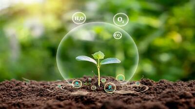  چگونه زمین را برای یک برداشت عالی و پربار آماده کنیم؟