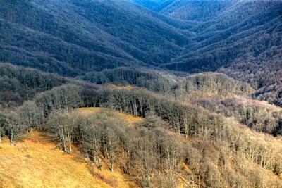 ۳ منطقه جدید به مناطق تحت حفاظت سازمان محیط‌زیست اضافه شد