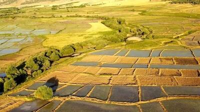  تثبیت بیش از هفت هزار هکتار اراضی غیرملی در کمیسیون رفع تداخلات لرستان