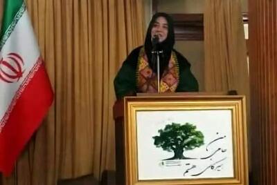  جنگل‌های هیرکانی؛ بنیان هویت فرهنگی ایران است