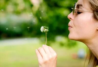  گل قاصدک برای چی خوبه؟