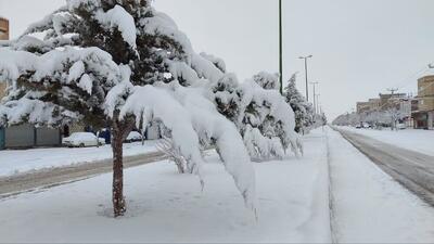 بارش برف و مه‌گرفتگی در محورهای آذربایجان غربی