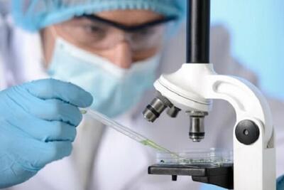 ۵ دستاورد برتر پزشکی در ۲۰۲۵