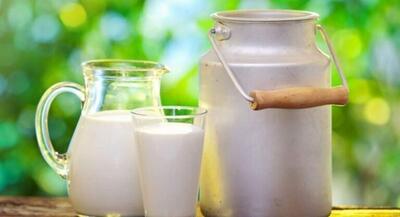  افزایش قیمت شیر در طول تاریخ بی‌سابقه است | جهان نیوز