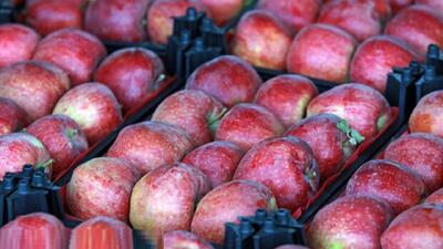 هشدار وزارت جهاد: قیمت میوه شب عید حق افزایش ندارد