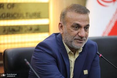 روستای صراخیه و پامنار خوزستان در مسیر ثبت جهانی