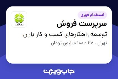  استخدام سرپرست فروش در توسعه راهکارهای کسب و کار باران