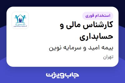  استخدام کارشناس مالی و حسابداری - آقا در بیمه امید و سرمایه نوین