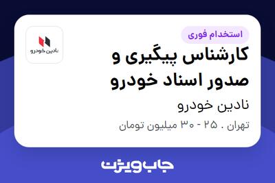  استخدام کارشناس پیگیری و صدور اسناد خودرو در نادین خودرو