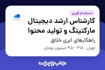  استخدام کارشناس ارشد دیجیتال مارکتینگ و تولید محتوا در راهکارهای ابری خلاق