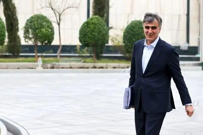 عبدالرضا داوری: رئیس جمهور با استعفای فرزین موافقت نمی کند