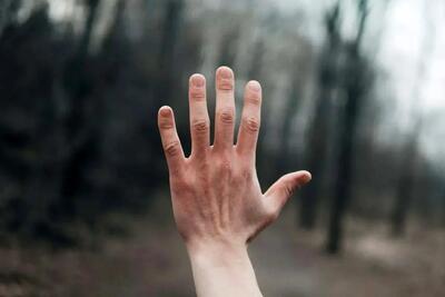  چرا انسان‌ها در هر دست‌ و پای خود ۵ انگشت دارند؟