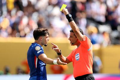 فغانی: چون دوتابعیتی هستم نمی‌توانم در ایران پست بگیرم/دوست دارم کمک کنم