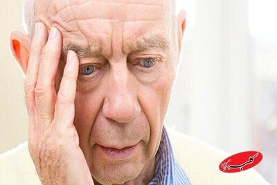 چاقی پیشرفت آلزایمر را تسریع می کند - کلبه سرگرمی