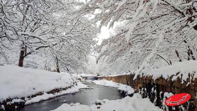  بارش برف و باران در ۲۷ استان | سرمای کم سابقه و یخبندان در ۲۴ استان + اسامی استانها - کلبه سرگرمی