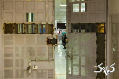 ماجرای عجیب زنی که در زندان حقوقدان شد - مجله اینترنتی کولاک