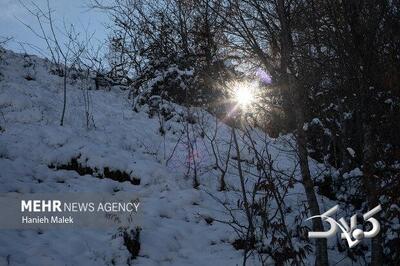 تصاویری از بارش شدید برف به همراه کولاک در مناطق مختلف آذربایجان غربی - مجله اینترنتی کولاک