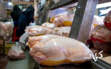 مرغ ۴۰۰ هزار تومانی در راه است؟/ زنگ خطر به صدا در آمد - مجله اینترنتی کولاک