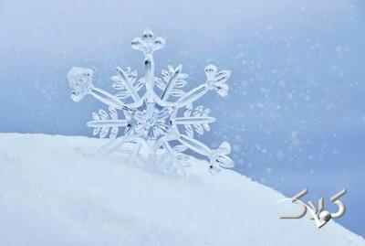 بوران و برف شدید در تورنتو + ویدئو | راه رفتن دشوار مردم را ببینید - مجله اینترنتی کولاک