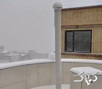 آغاز بارش برف شدید در این شهر ایران؛ تصاویر سفید شدن شهر در برف و کولاک را ببینید - مجله اینترنتی کولاک