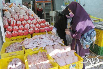 زنگ خطر گرانی مرغ به صدا درآمد | گرانی نهاده دامن مرغداری های را گرفت - مجله اینترنتی کولاک