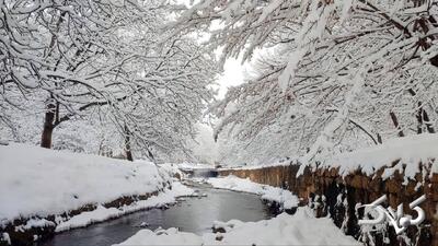 بارش برف و باران در ۲۷ استان | سرمای کم سابقه و یخبندان در ۲۴ استان + اسامی استانها - مجله اینترنتی کولاک