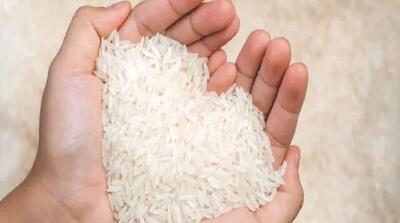 برنج هندی ارزان شد/ برنج ایرانی در راه کاهش - مردم سالاری آنلاین
