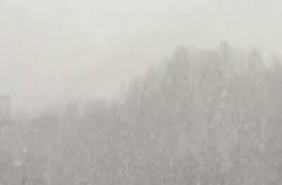 فیلم/ بارش نخستین برف زمستانی در سپیدان فارس