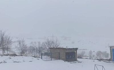 فیلم/ بارش برف زمستانی در منطقه مرزی پیرانشهر