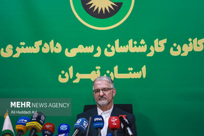 نشست خبری کانون کارشناسان رسمی دادگستری استان تهران