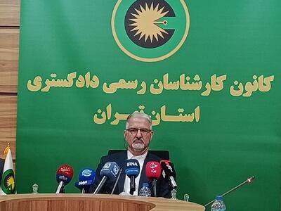 نشست خبری رئیس کانون کارشناسان رسمی دادگستری تهران آغاز شد