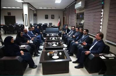 ستاد مقابله با آفات نباتی در استان بوشهر تشکیل شد