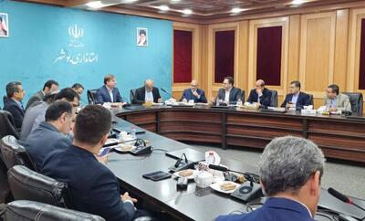  سلیمانی: تکمیل زیرساخت‌های آبرسانی تنگستان ضروری است