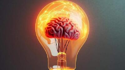 میگنا - نوروساینس عاطفی (Affective Neuroscience) چیست ؟