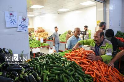 افتتاح ۵ بازار میوه و تره‌بار در ۵ محله تهران/ عرضه گوشت وارداتی در میادین تا ۵۰۰ هزار تومان ارزان‌تر از سطح شهر